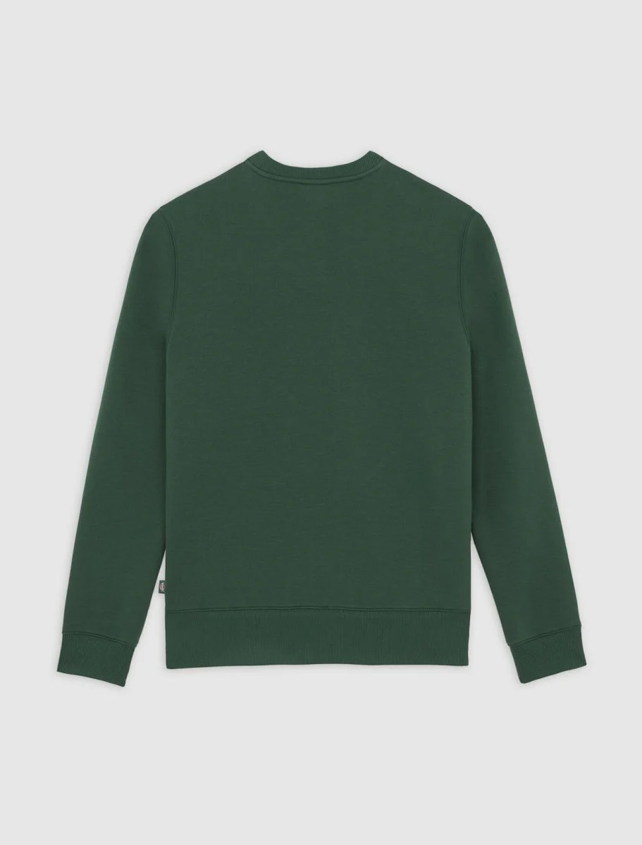 Sweaters groen Dickies - Image 4
