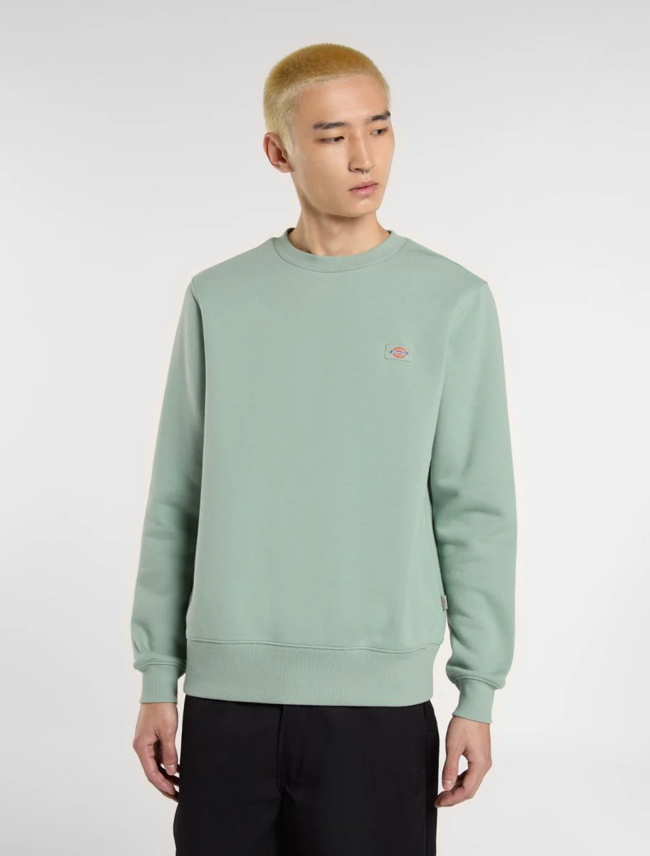 Sweaters groen Dickies