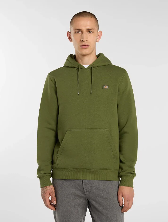 Sweaters groen Dickies