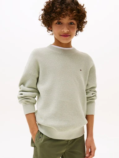Sweaters groen Tommy Hilfiger