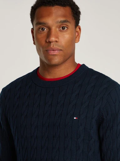 Pulls navy Tommy Hilfiger - Image 13