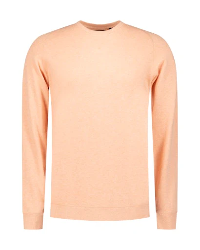 Sweaters oranje NZA New Zealand Auckland