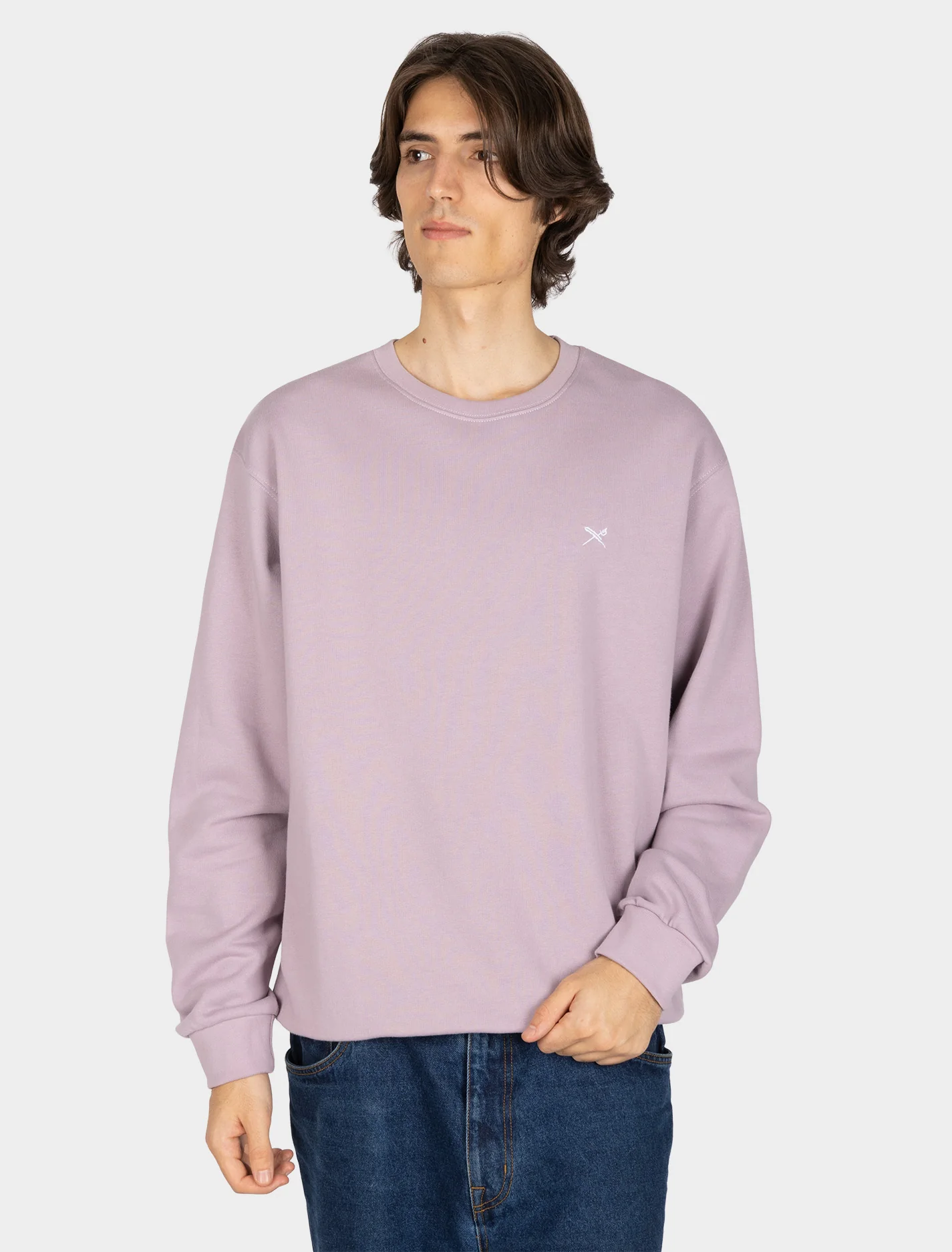 Sweaters paars Iriedaily