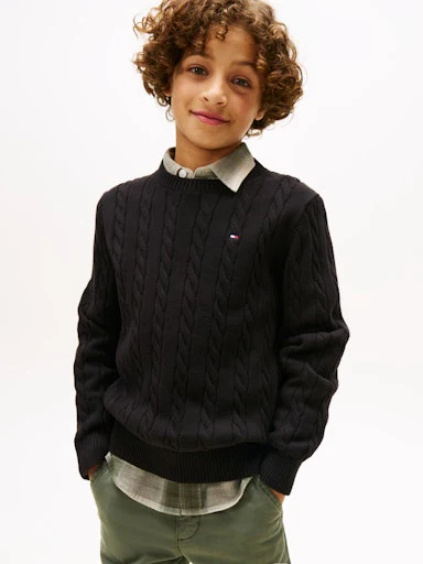 Sweaters zwart Tommy Hilfiger