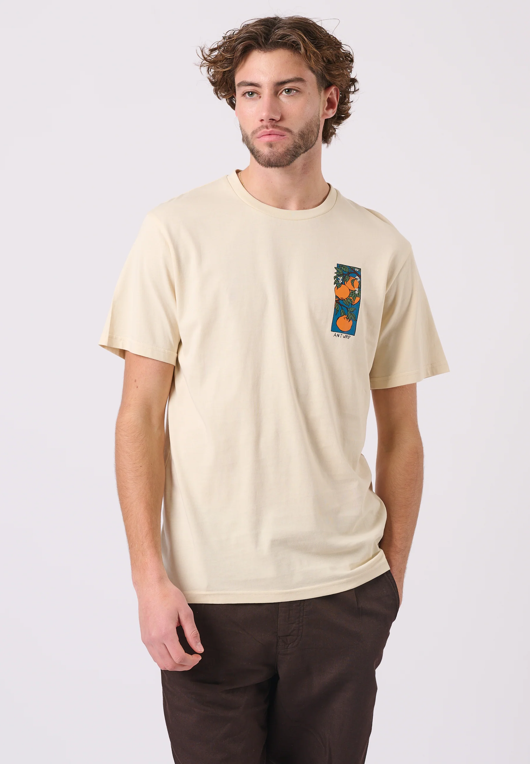 T-shirts korte mouw beige ANTWRP - Image 2