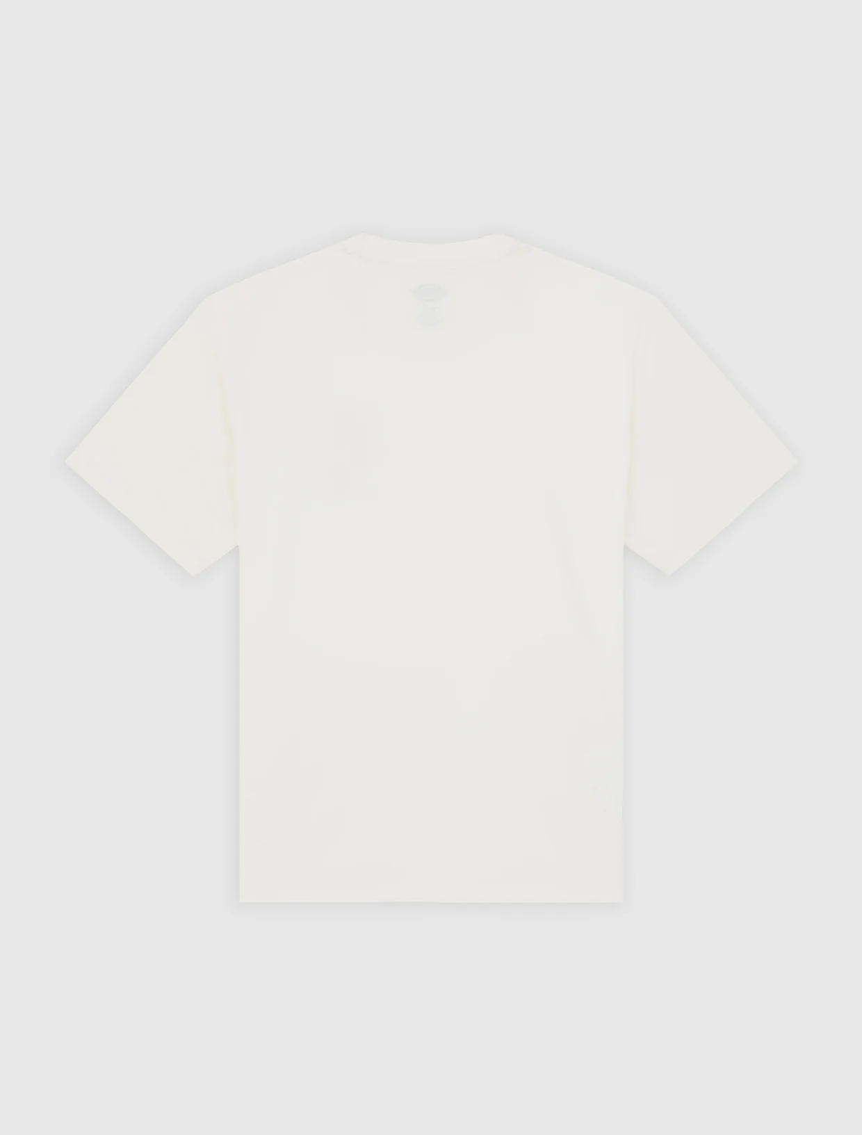 T-shirts korte mouw beige Dickies - Image 6