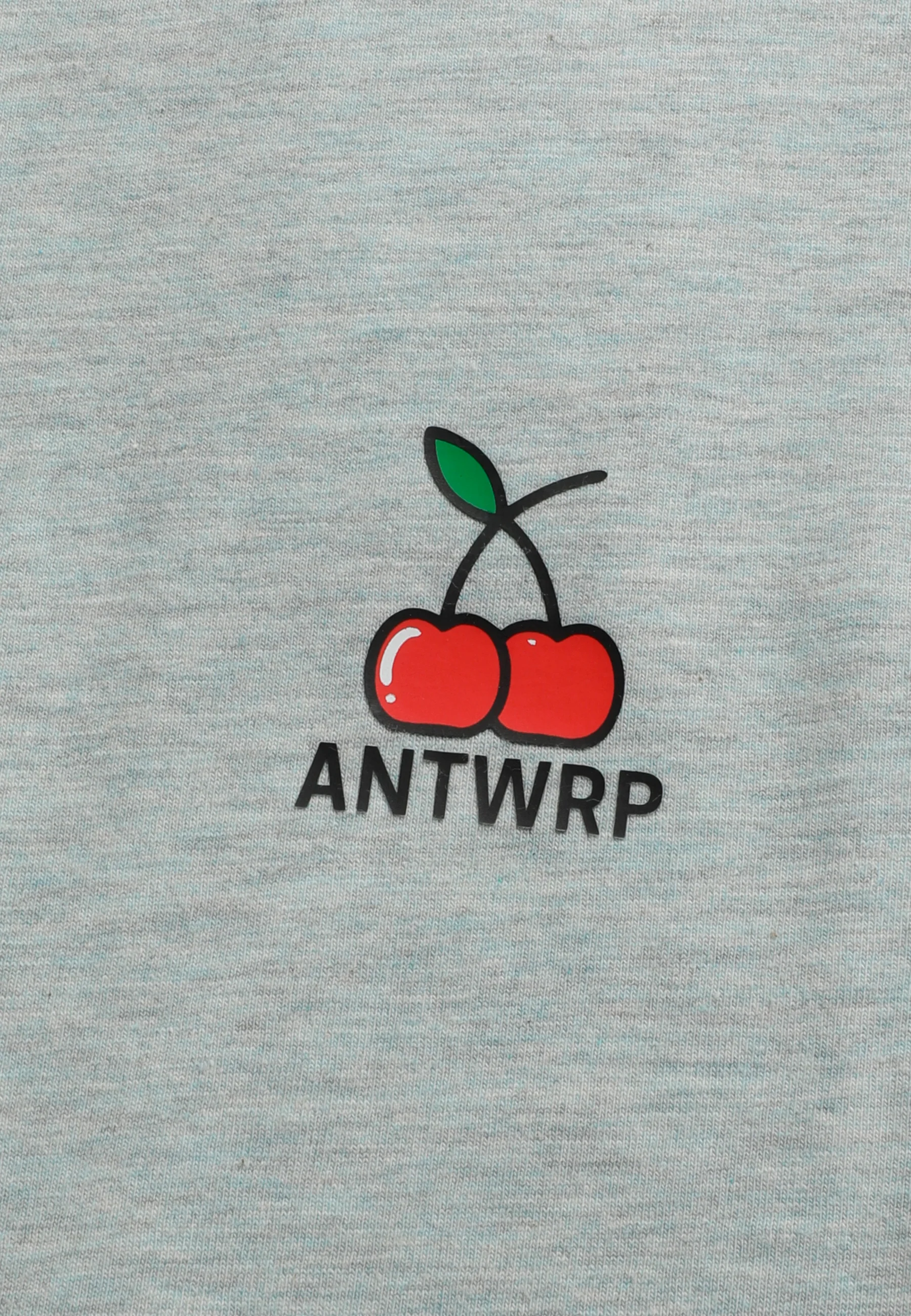 Miniatuur 2