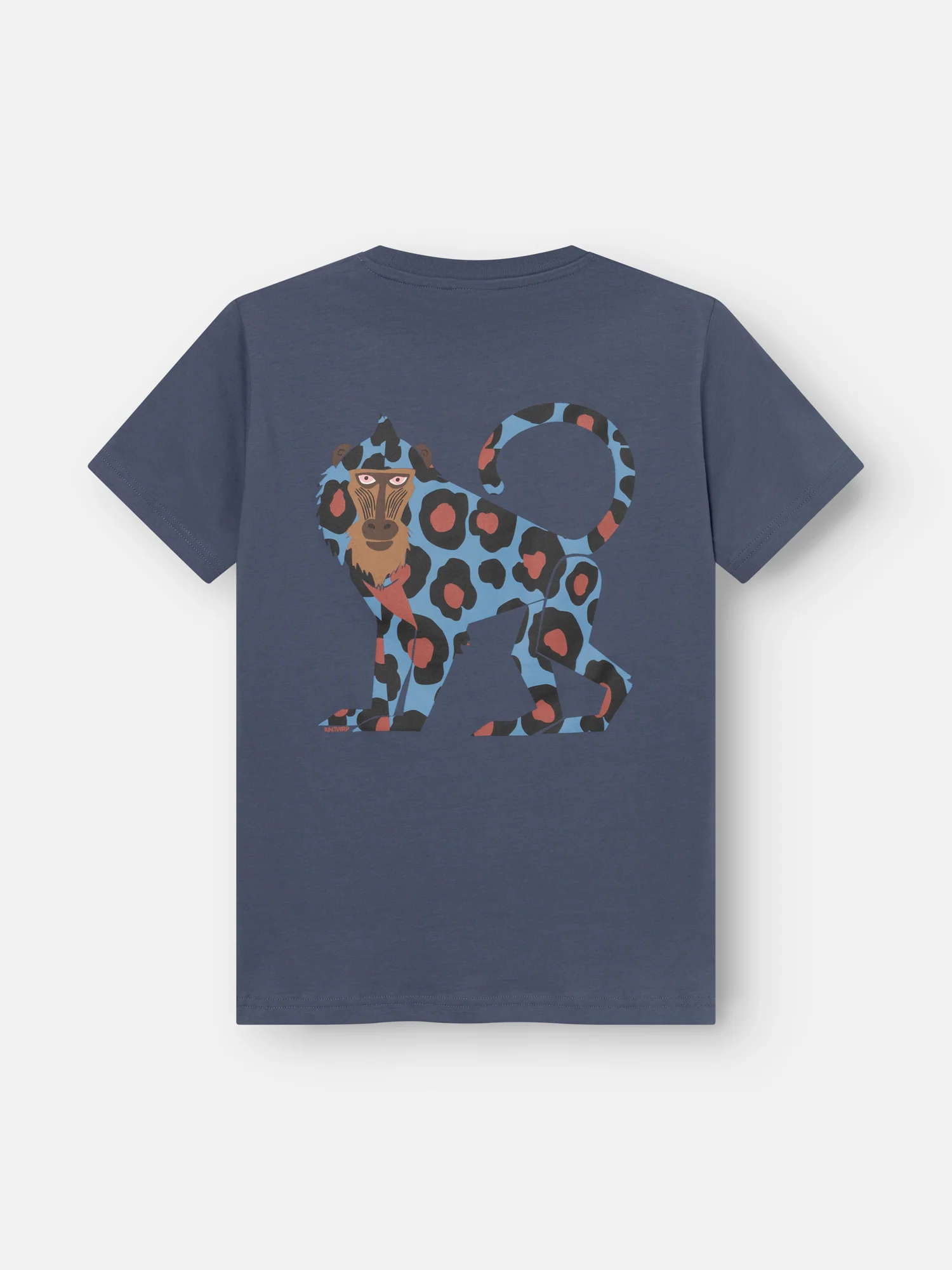 T-shirts korte mouw blauw ANTWRP Junior - Image 5