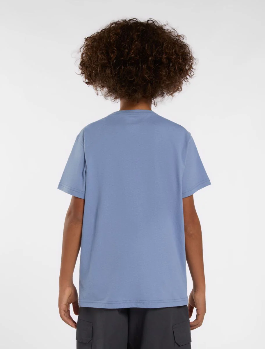 T-shirts korte mouw blauw Dickies - Image 4