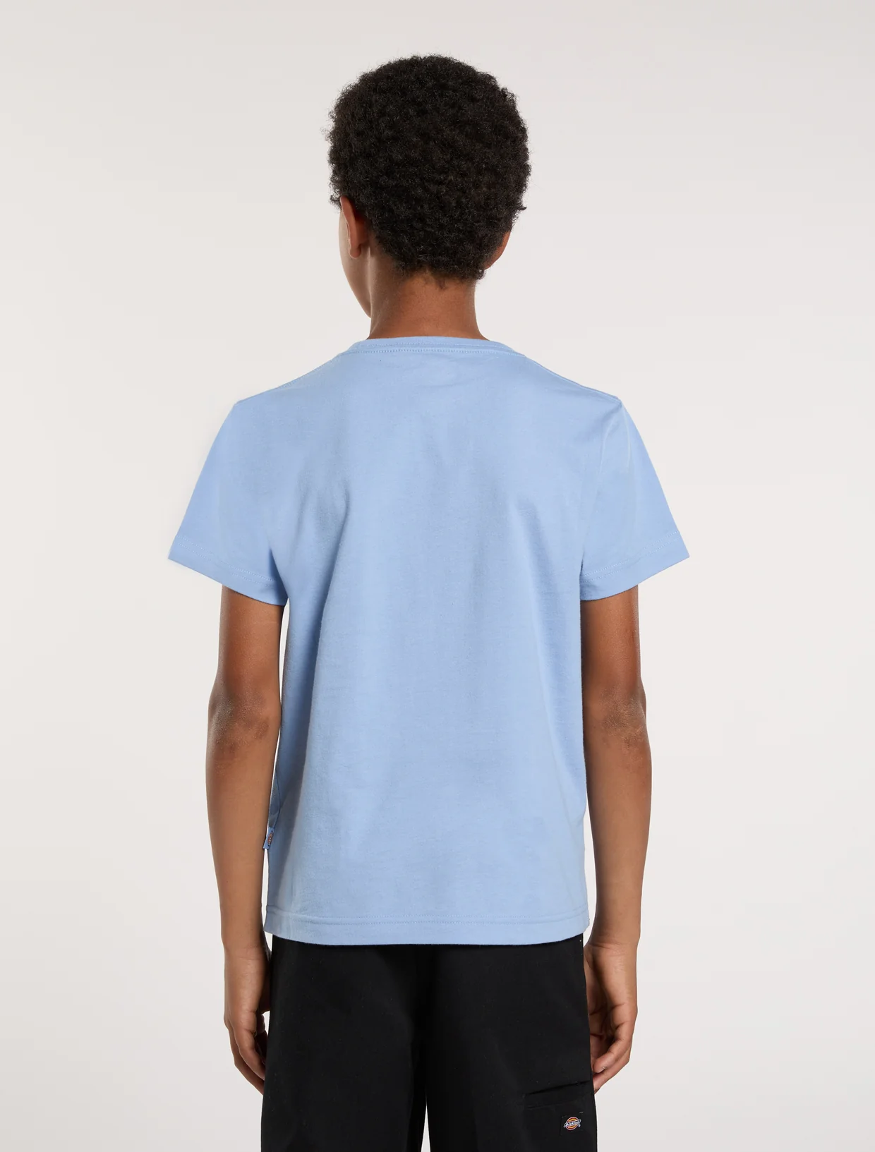 T-shirts korte mouw blauw Dickies - Image 5
