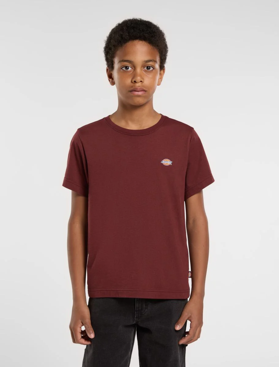 T-shirts korte mouw bruin Dickies