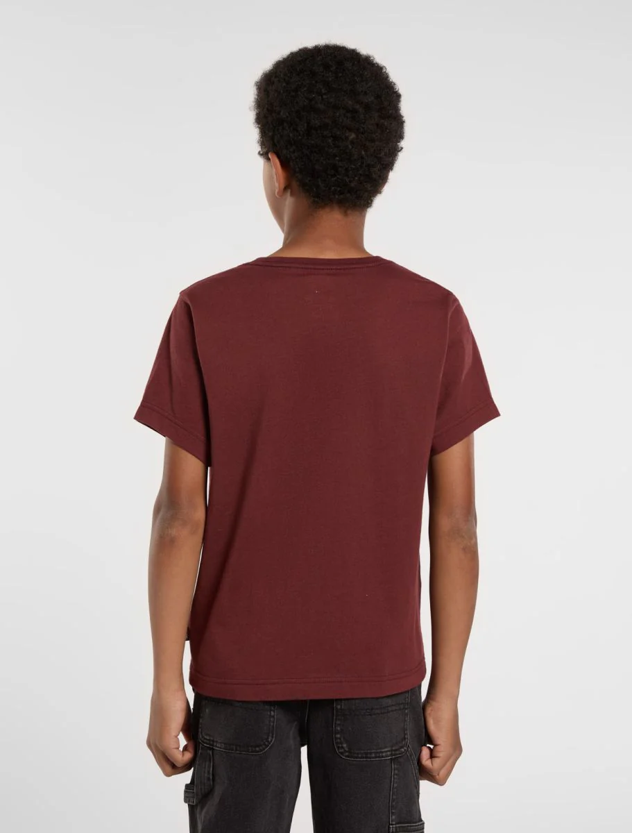 T-shirts korte mouw bruin Dickies - Image 3