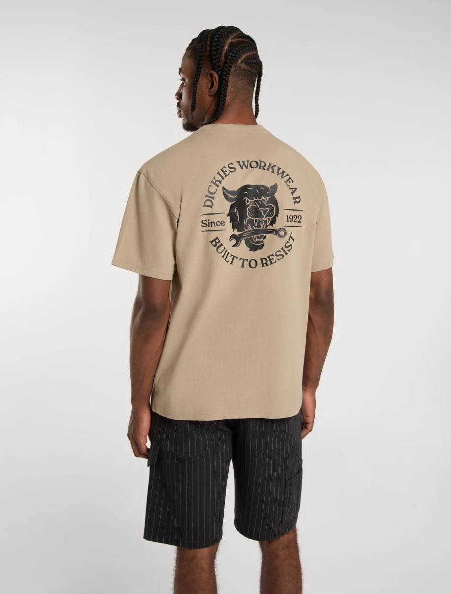 T-shirts korte mouw bruin Dickies - Image 4