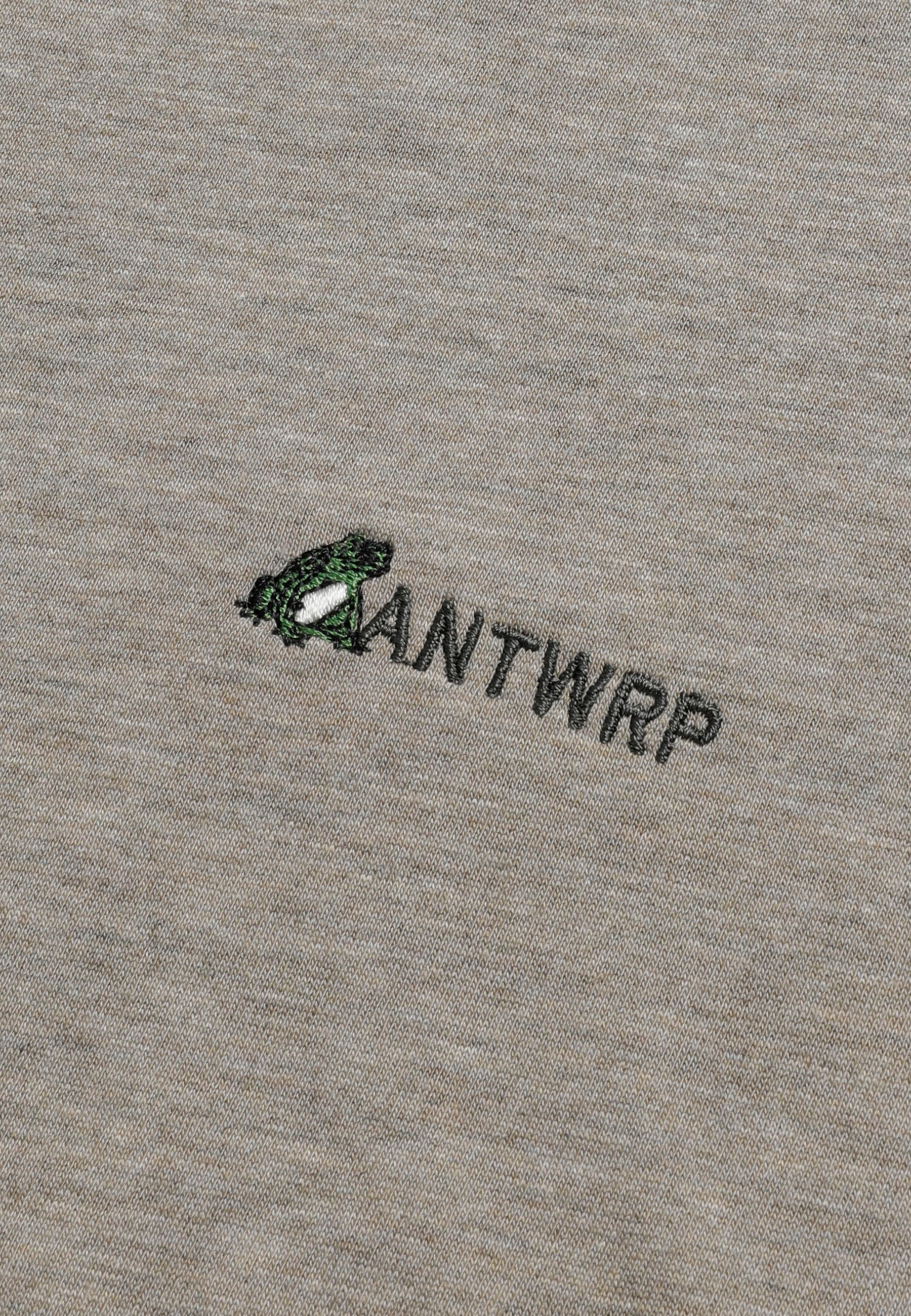 T-shirts korte mouw grijs ANTWRP - Image 3