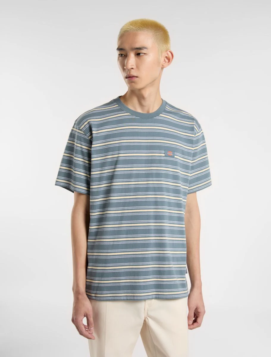 T-shirts korte mouw grijs Dickies