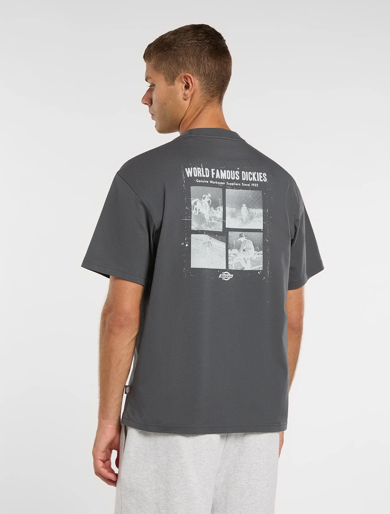 T-shirts korte mouw grijs Dickies - Image 4