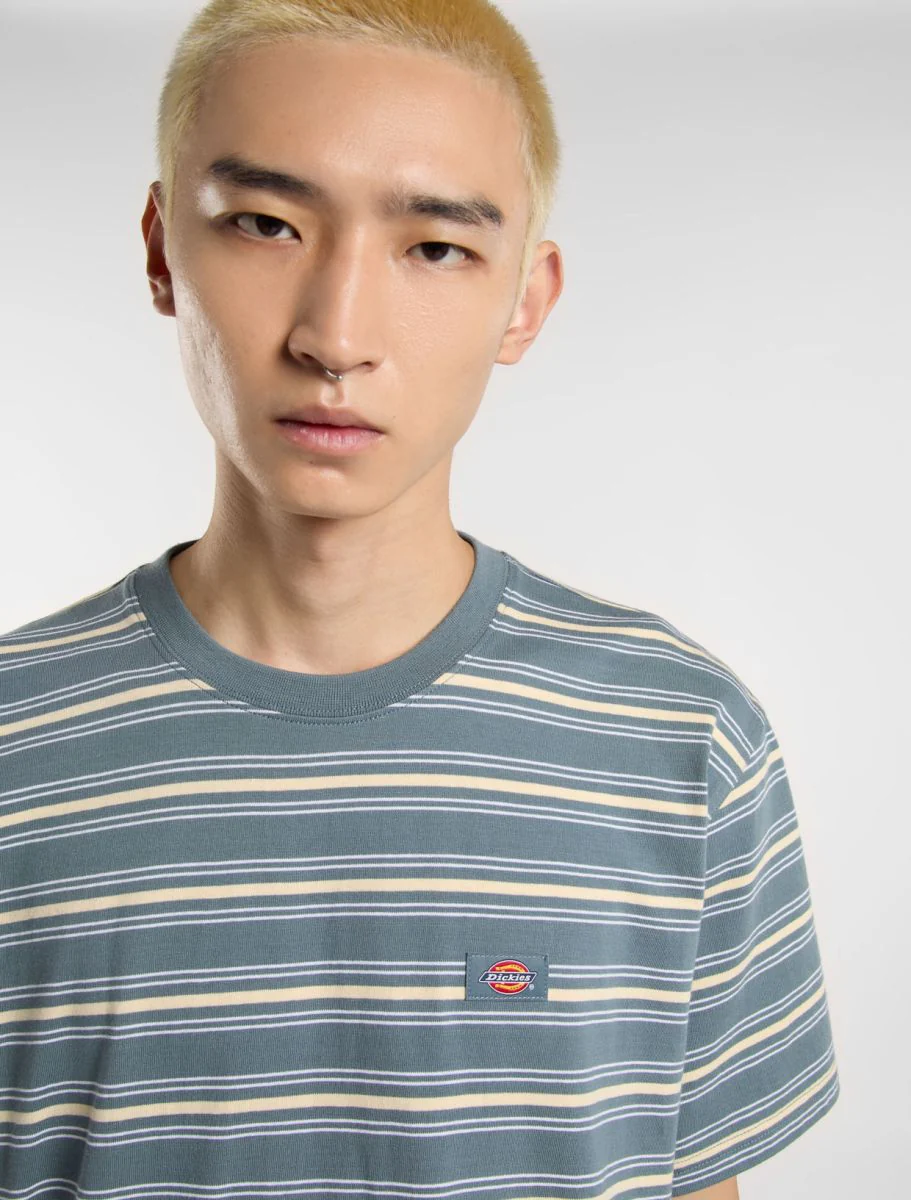 T-shirts korte mouw grijs Dickies - Image 6