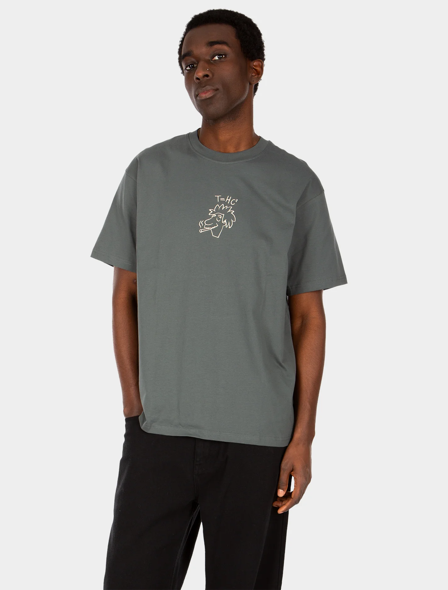 T-shirts korte mouw grijs Iriedaily