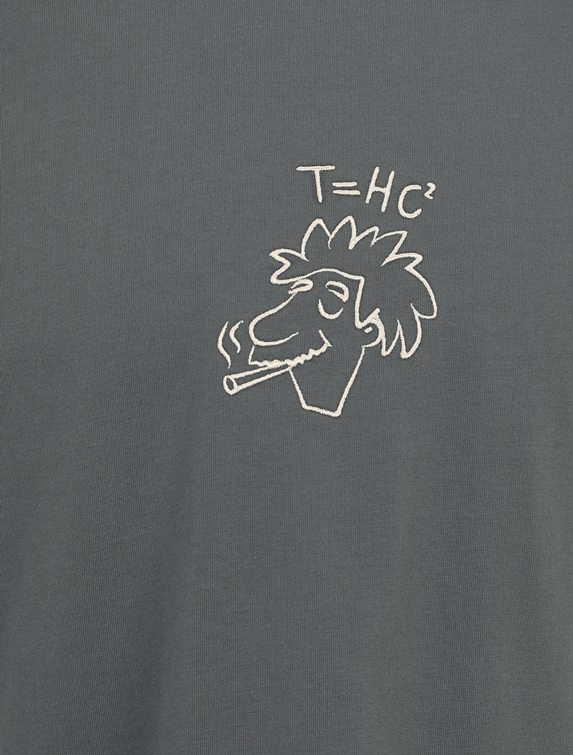 T-shirts korte mouw grijs Iriedaily - Image 2