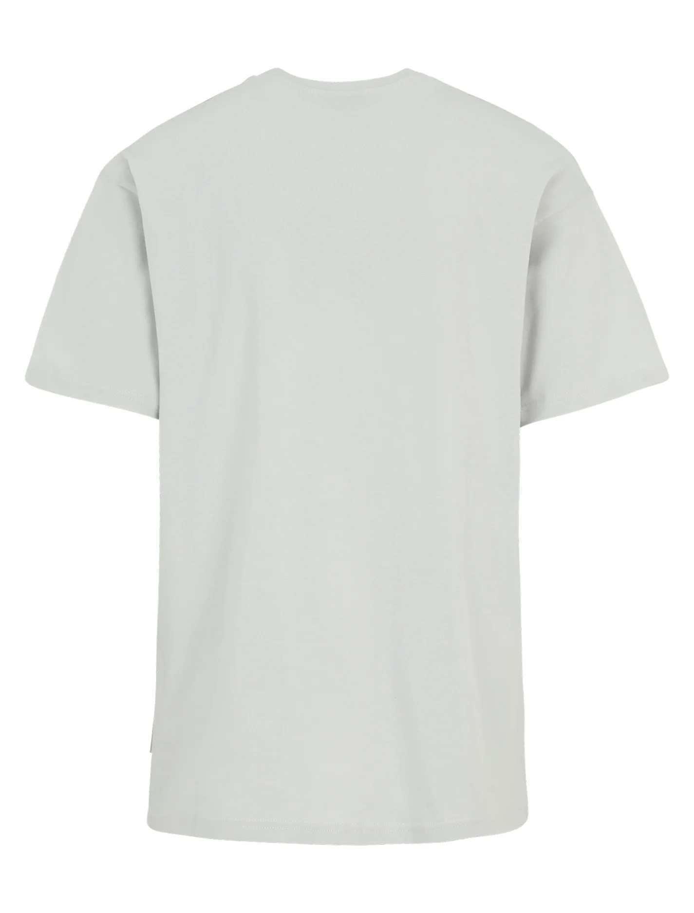 T-shirts korte mouw grijs Iriedaily - Image 3