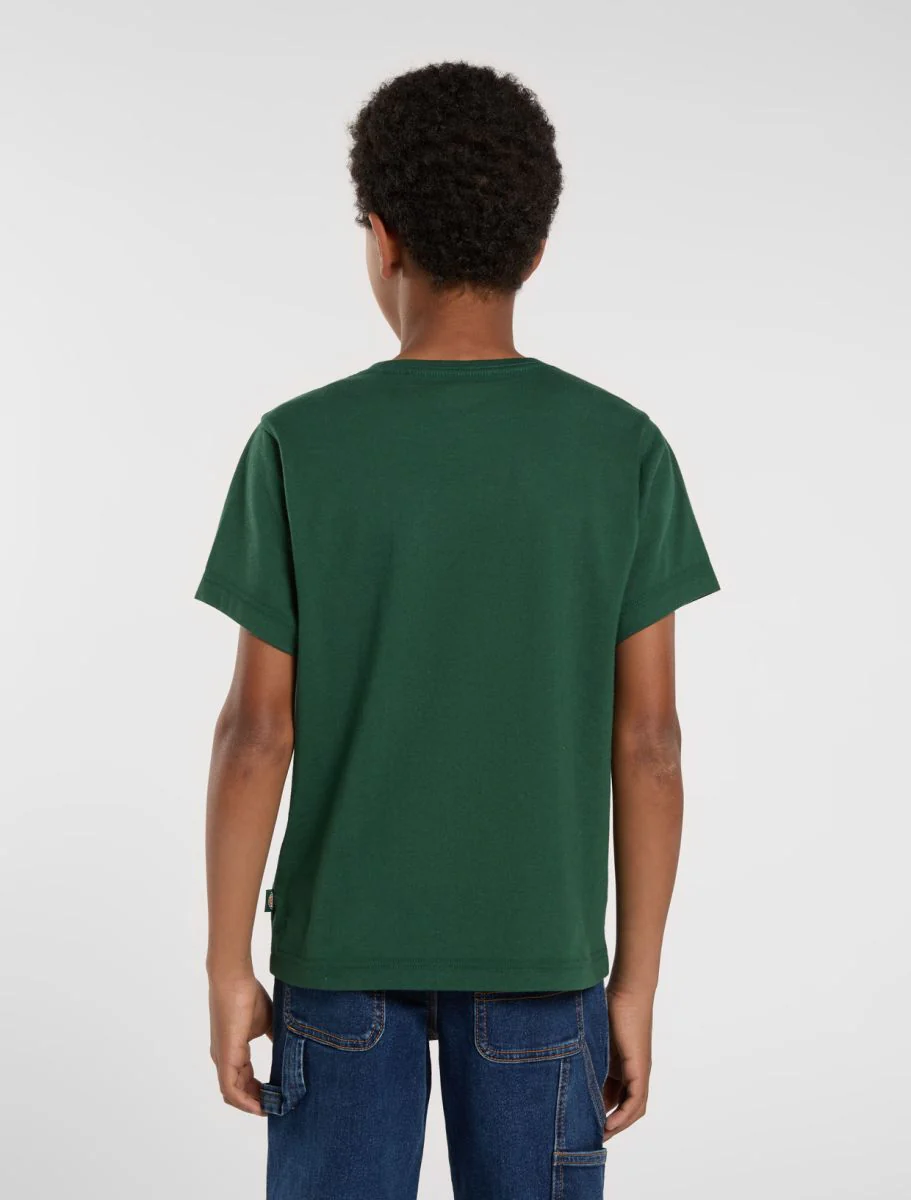 T-shirts korte mouw groen Dickies - Image 4