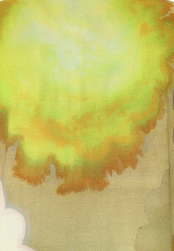 T-shirts korte mouw groen Doris Streich - Image 3