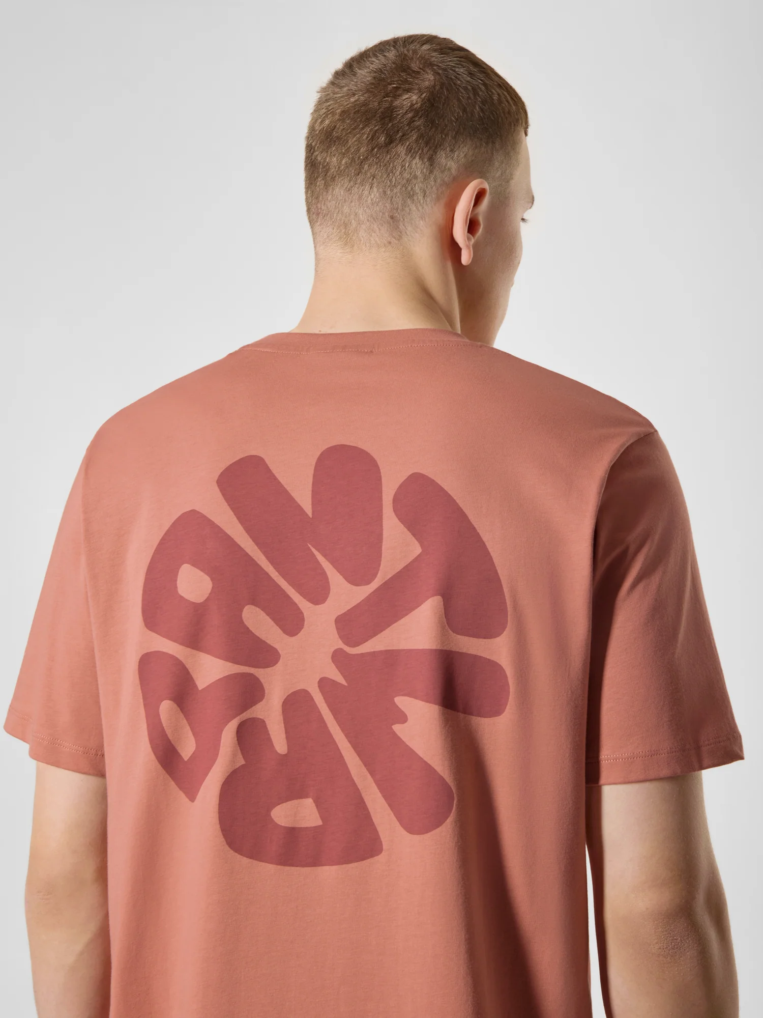 T-shirts korte mouw oranje ANTWRP - Image 5