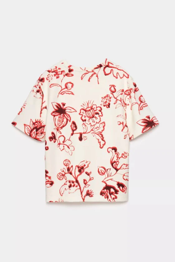 T-shirts korte mouw rood CKS - Image 3