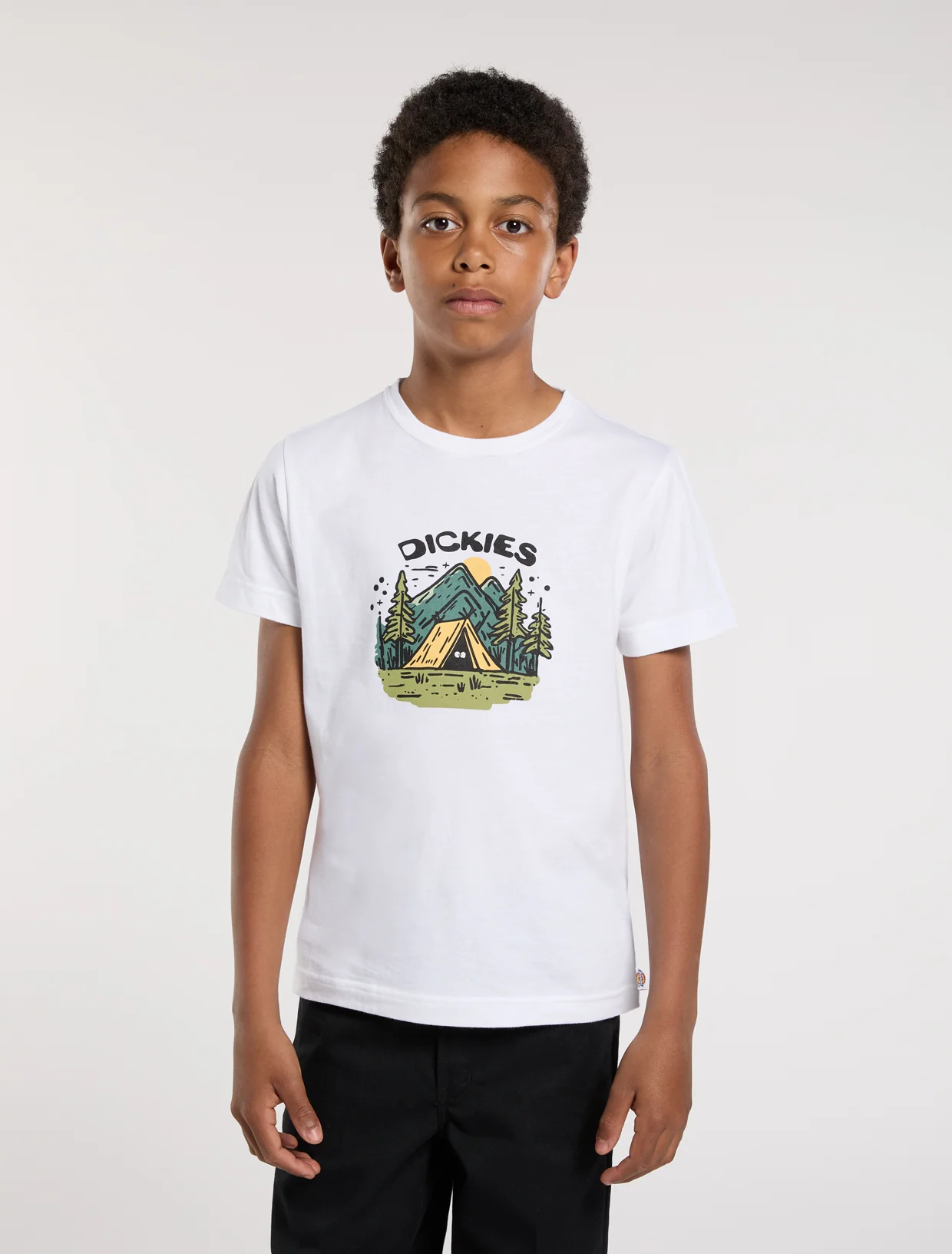 T-shirts korte mouw wit Dickies