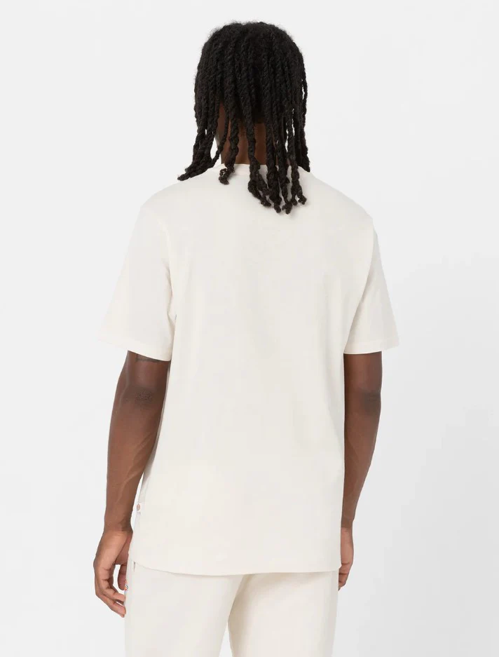 T-shirts korte mouw wit Dickies - Image 2